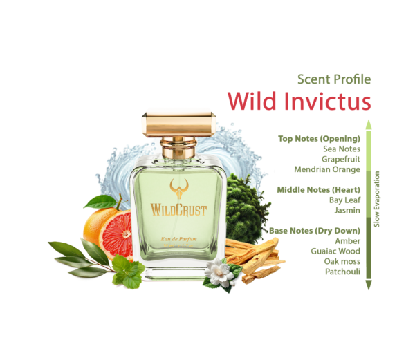 Wildcrust Invictus inspired perfume for men fresh aquatic woody fragrance long lasting scent bottle