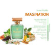 Wildcrust Imagination perfume inspired by Louis Vuitton – fresh citrus woody fragrance for men