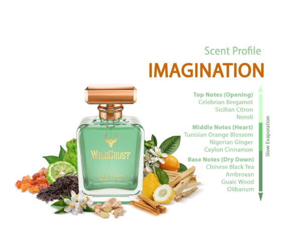 Wildcrust Imagination perfume inspired by Louis Vuitton – fresh citrus woody fragrance for men