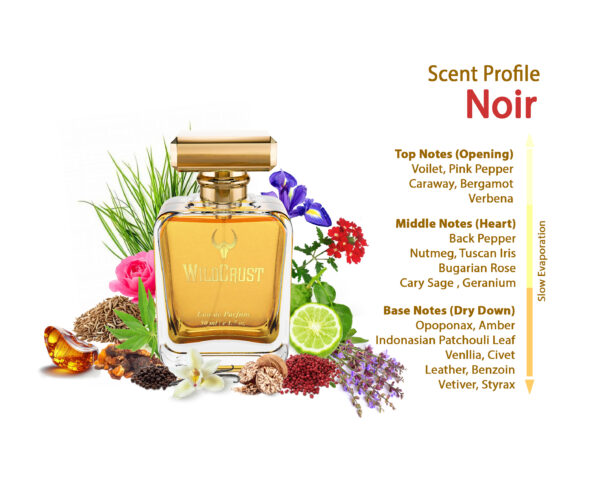 Wildcrust Noir perfume inspired by Tom Ford Noir – oriental spicy woody fragrance for men