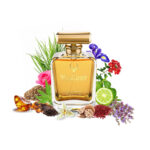 Wildcrust Noir perfume inspired by Tom Ford Noir – oriental spicy woody fragrance for men