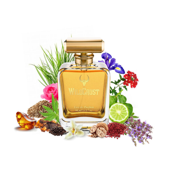 Wildcrust Noir perfume inspired by Tom Ford Noir – oriental spicy woody fragrance for men