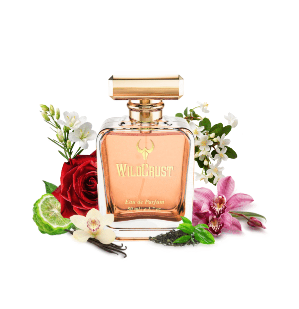 Gulistaan perfume bottle inspired by a garden of flowers, featuring notes of bergamot, jasmine, orchid, rose, and vanilla.
