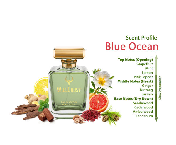 Wildcrust Blue Ocean perfume for men fresh citrus woody fragrance long lasting luxury scent bottle